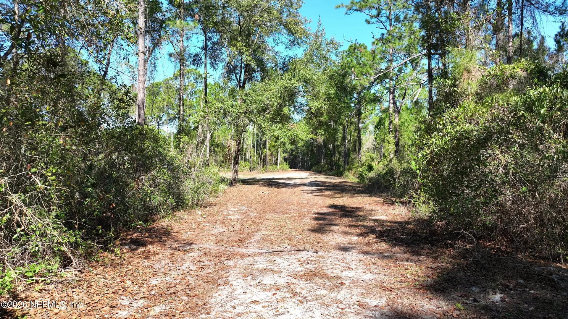 127 Roebuck Street Georgetown FL 32139