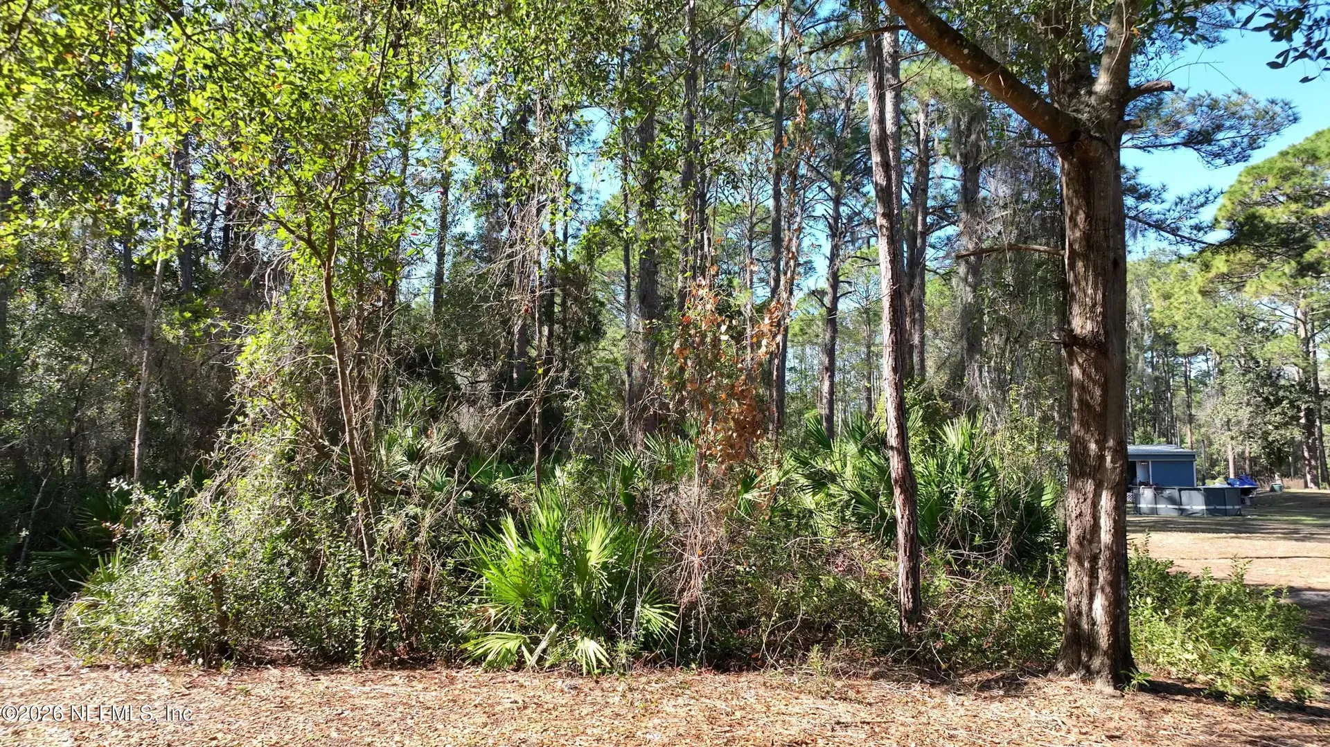 127 Roebuck Street Georgetown FL 32139