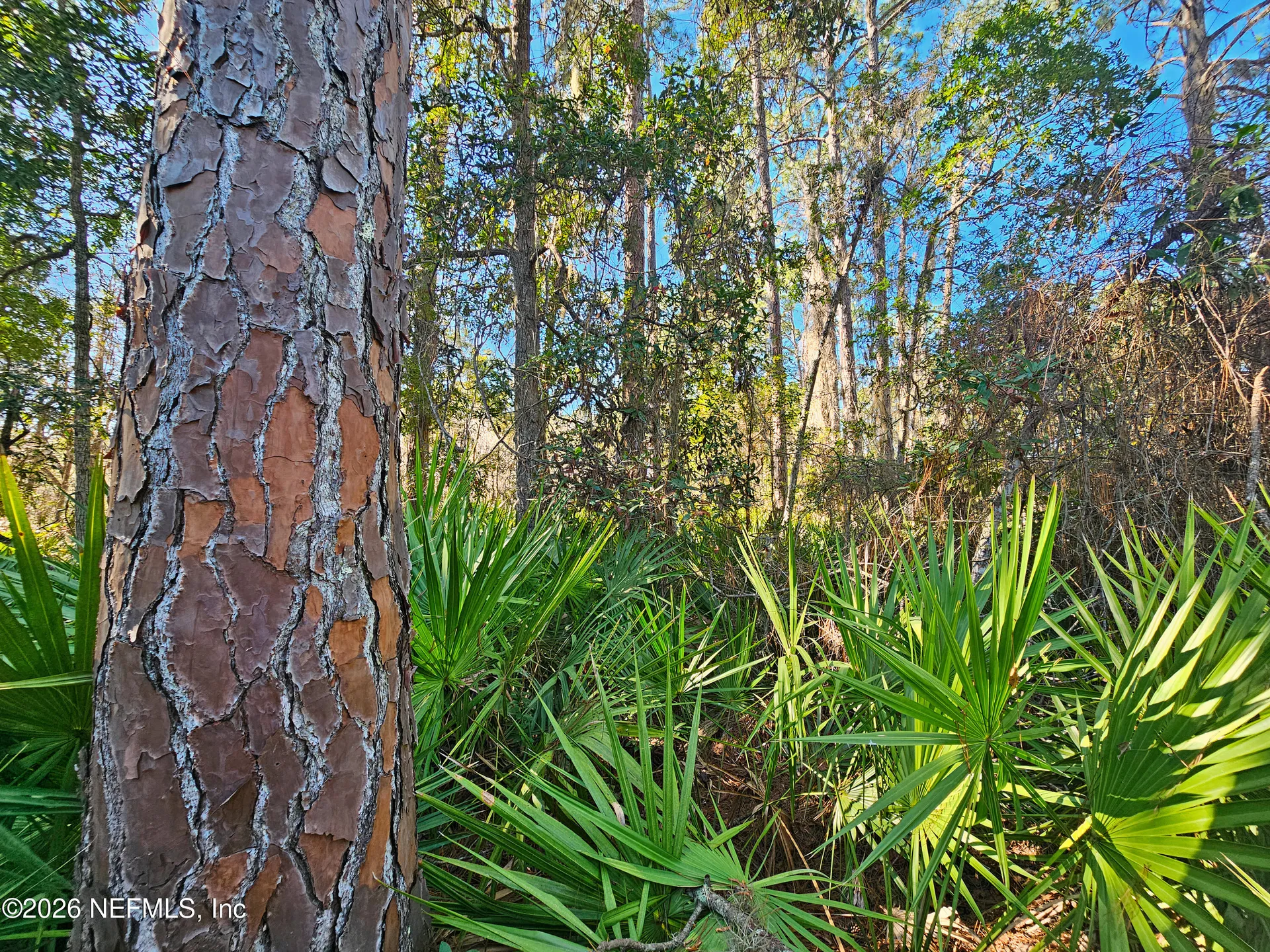 127 Roebuck Street Georgetown FL 32139
