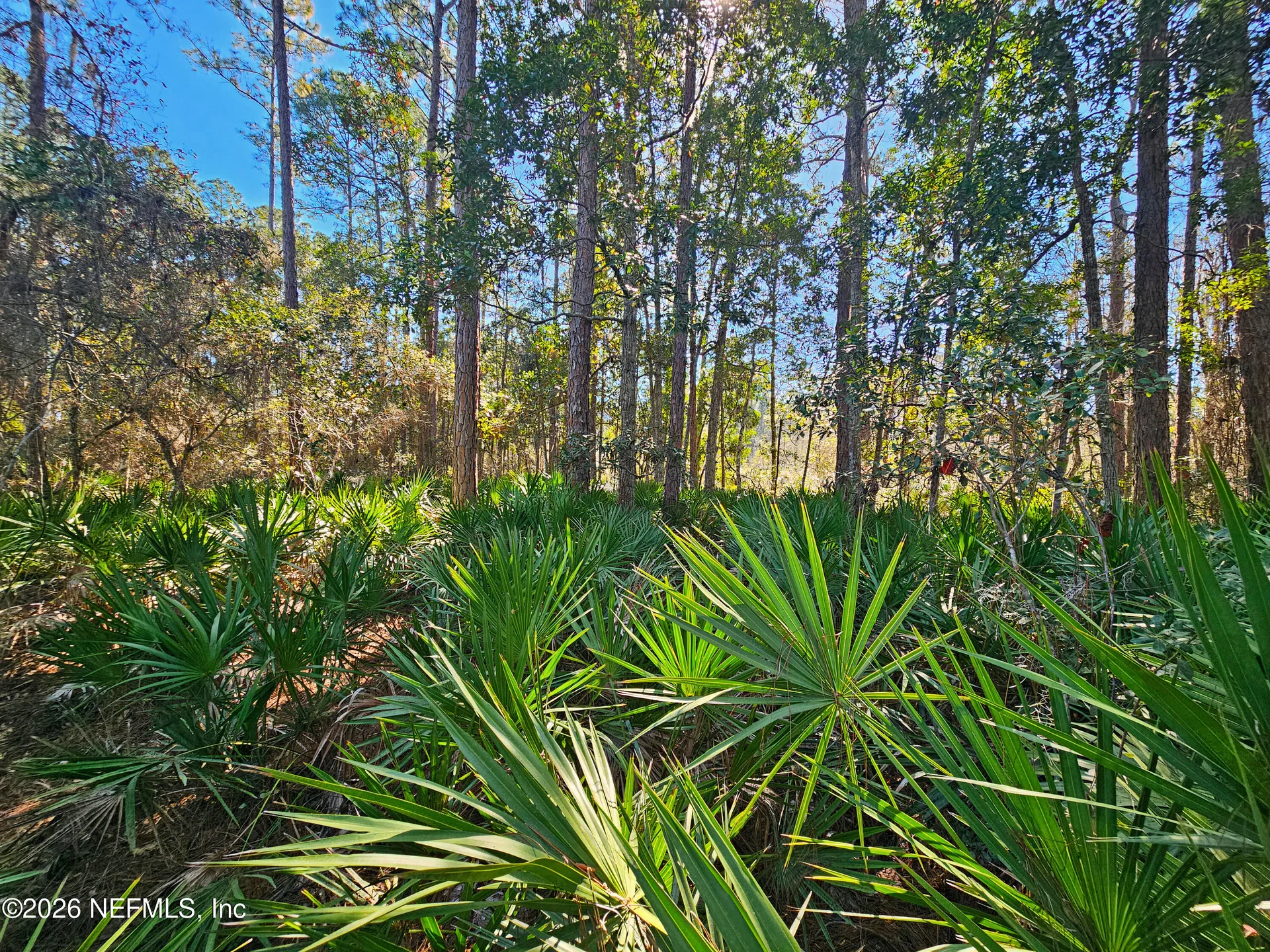 127 Roebuck Street Georgetown FL 32139