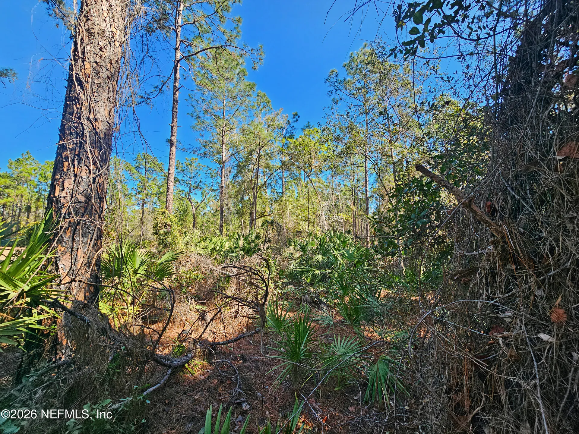 127 Roebuck Street Georgetown FL 32139