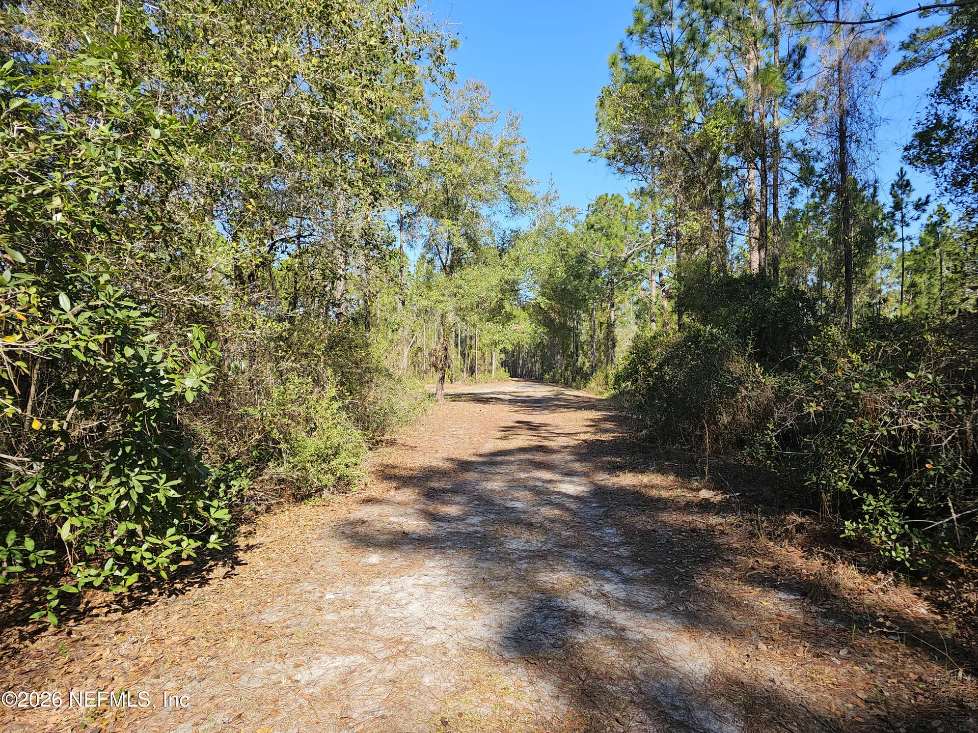 127 Roebuck Street Georgetown FL 32139