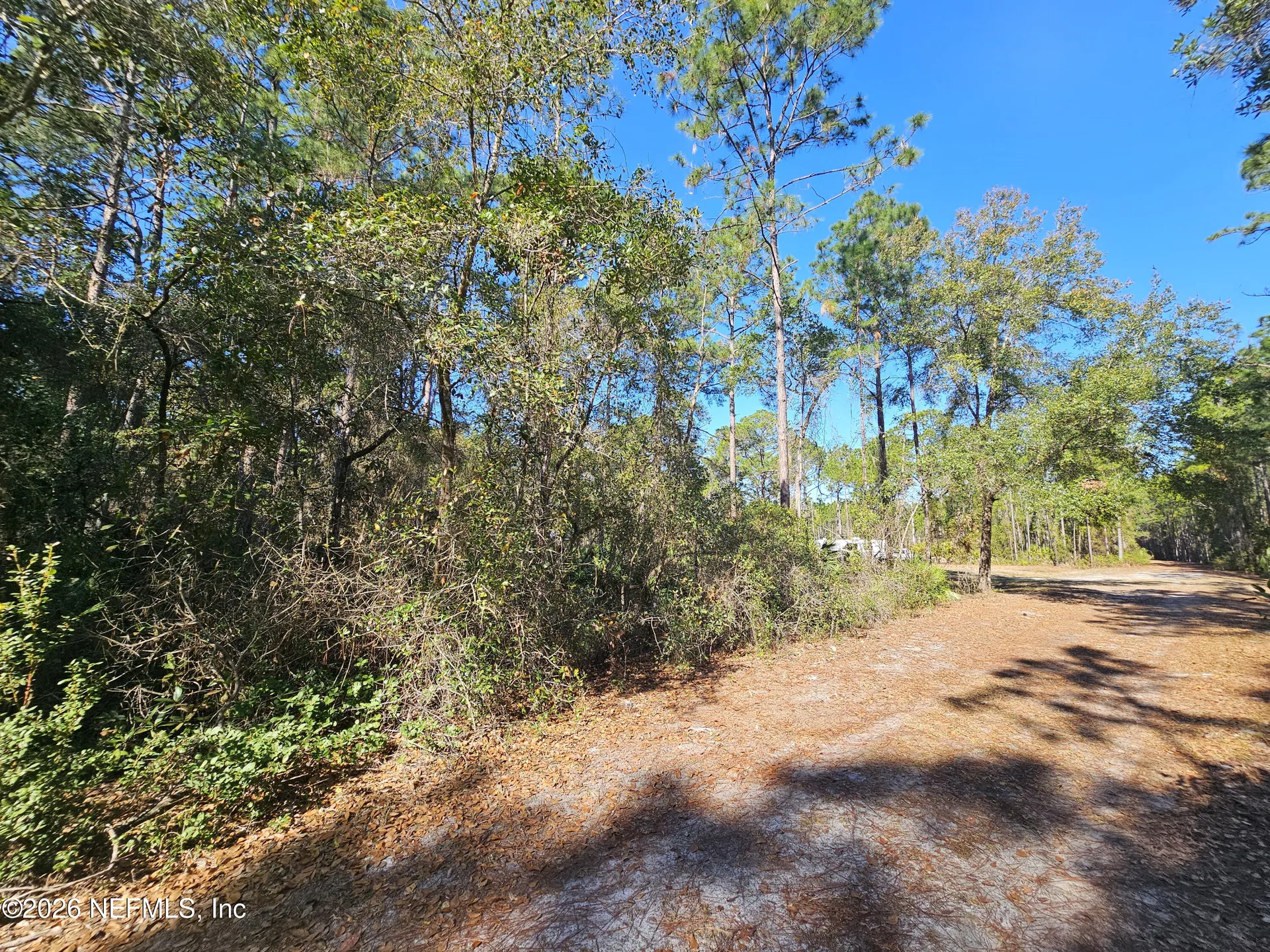 127 Roebuck Street Georgetown FL 32139