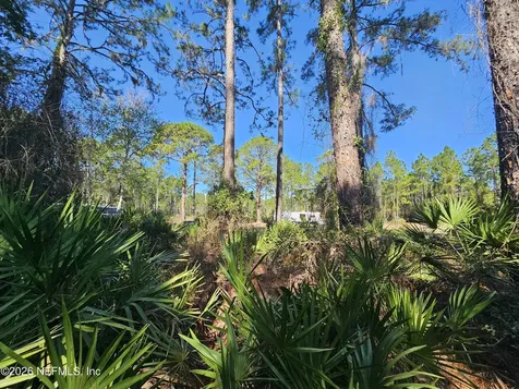 127 Roebuck Street Georgetown FL 32139