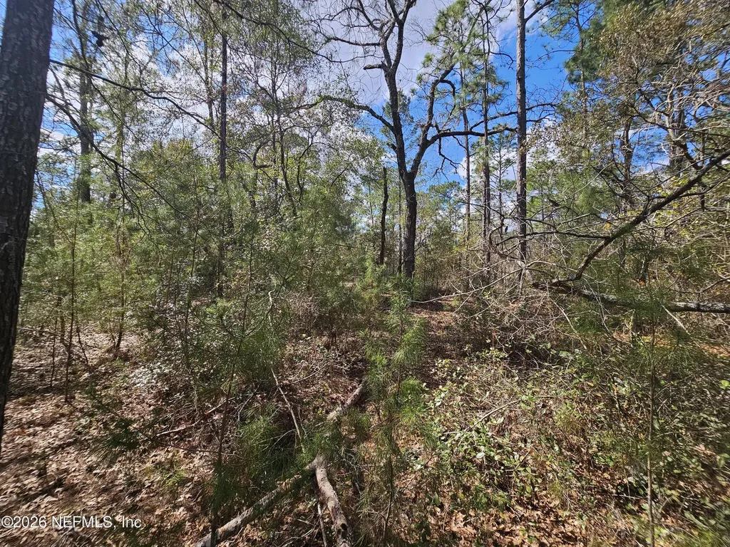 416 Mourning Dove Road Satsuma FL 32189