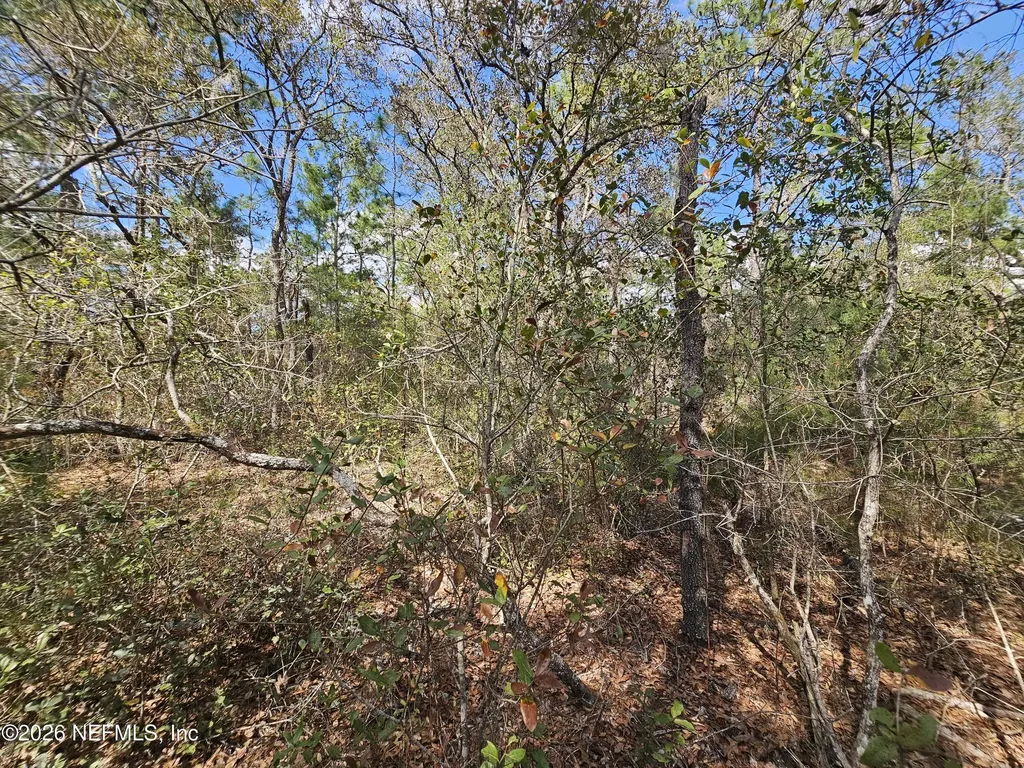 416 Mourning Dove Road Satsuma FL 32189