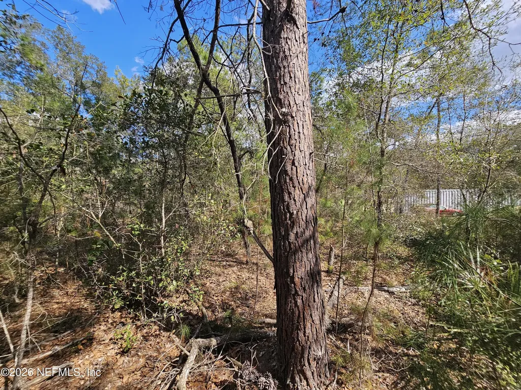 416 Mourning Dove Road Satsuma FL 32189