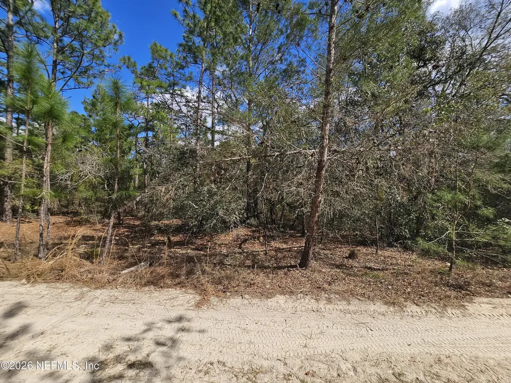 416 Mourning Dove Road Satsuma FL 32189