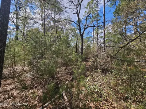 416 Mourning Dove Road Satsuma FL 32189