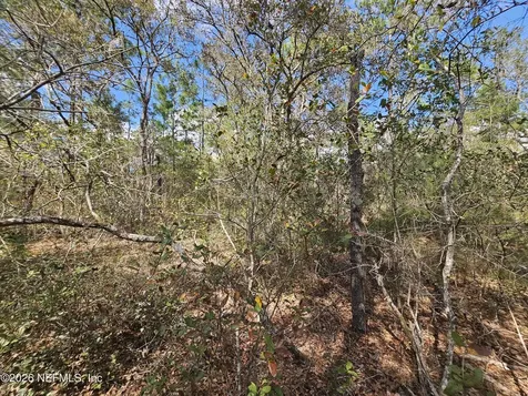 416 Mourning Dove Road Satsuma FL 32189
