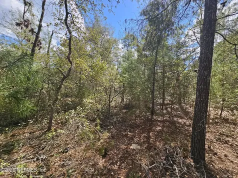 416 Mourning Dove Road Satsuma FL 32189