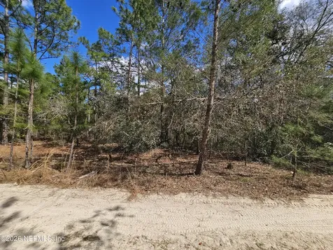 416 Mourning Dove Road Satsuma FL 32189