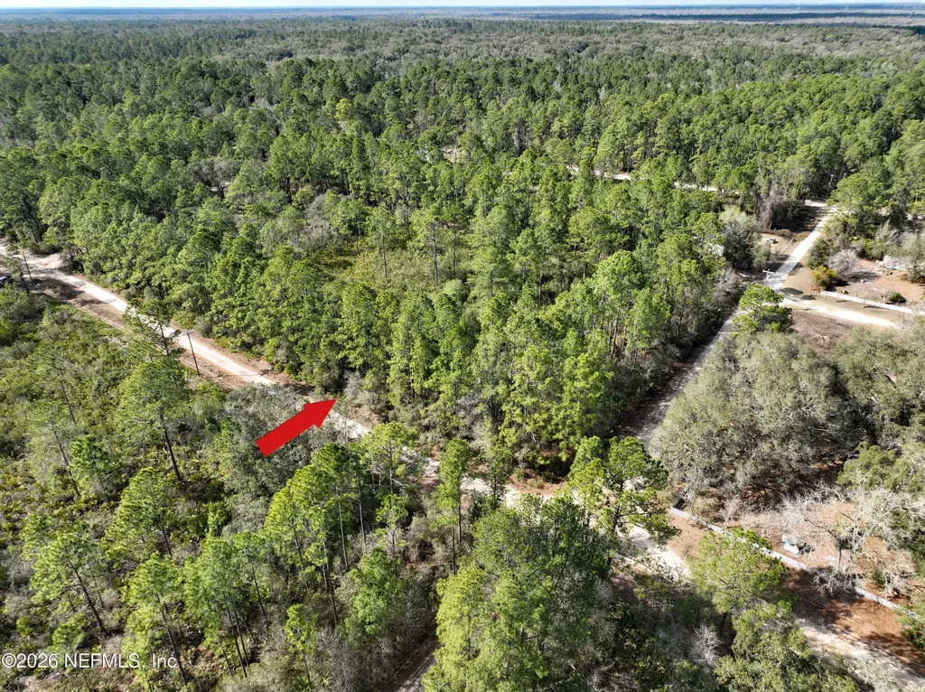 302 Tangerine Trail Satsuma FL 32189