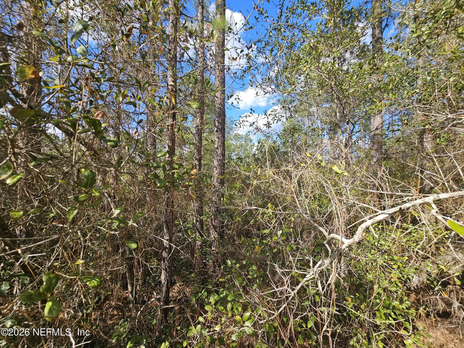 302 Tangerine Trail Satsuma FL 32189