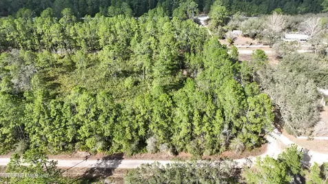 302 Tangerine Trail Satsuma FL 32189
