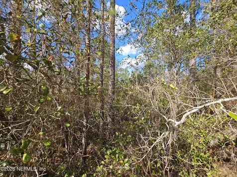 302 Tangerine Trail Satsuma FL 32189