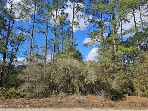 302 Tangerine Trail Satsuma FL 32189