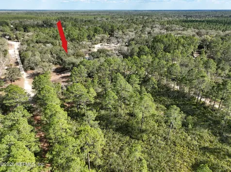 302 Tangerine Trail Satsuma FL 32189