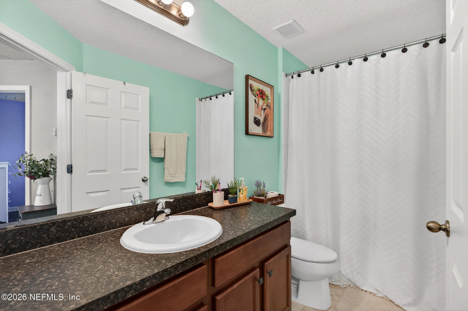813 Sunny Stroll Drive Middleburg FL 32068