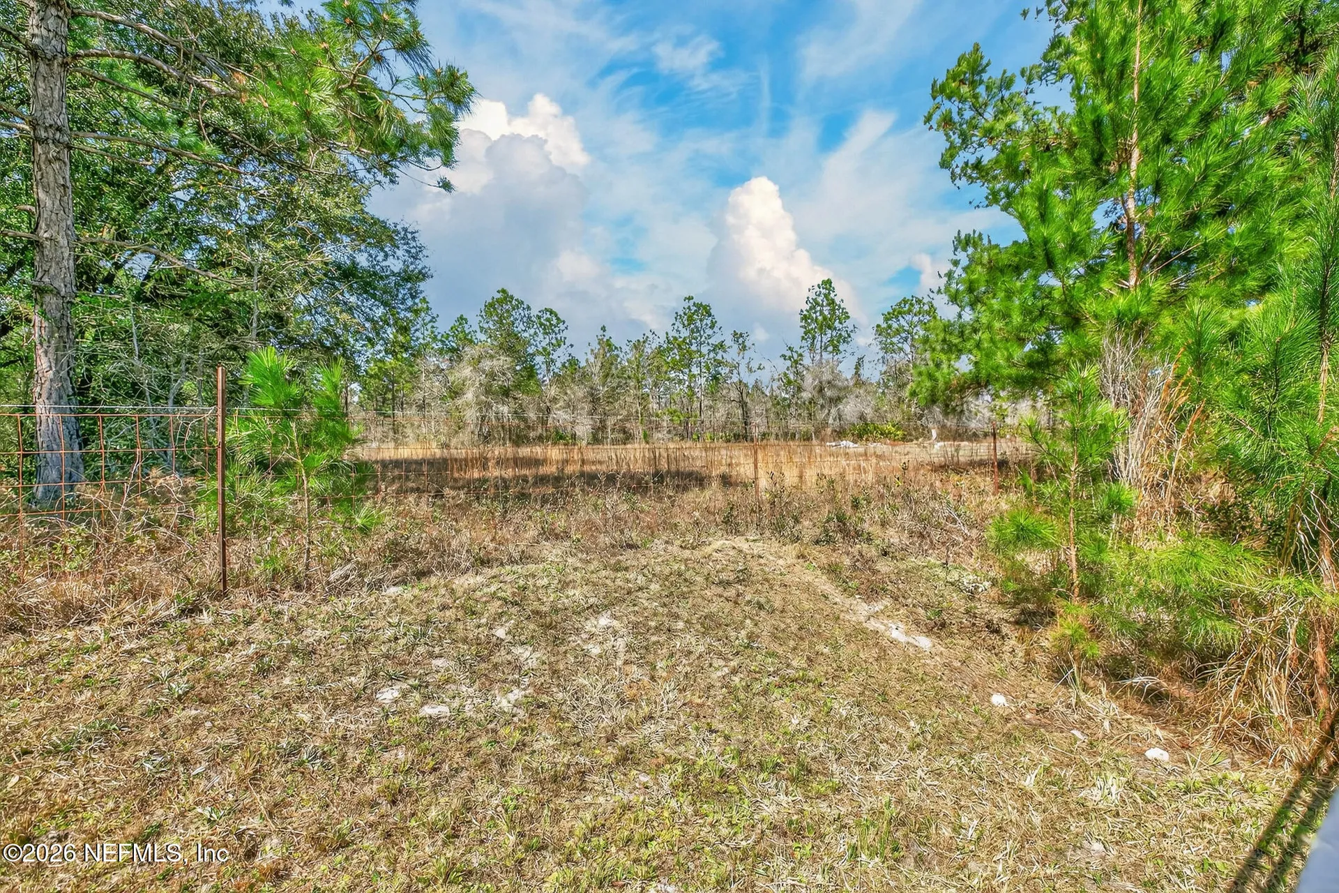 813 Sunny Stroll Drive Middleburg FL 32068