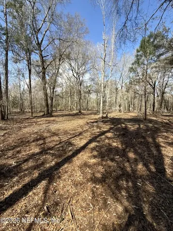 1190 Jones Lane Lawtey FL 32058