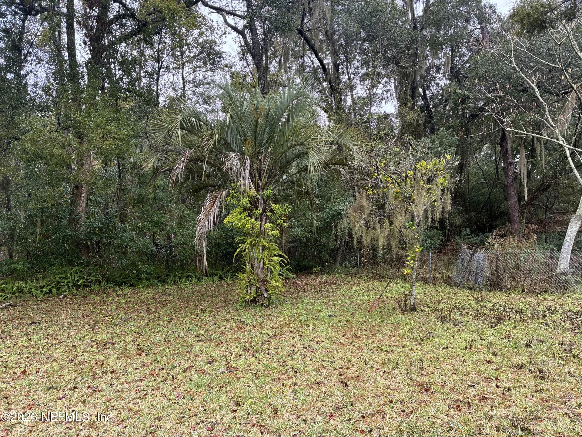 809 N Cypress Avenue Green Cove Springs FL 32043
