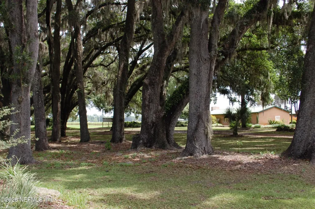 18811 SE 243rd Street Hawthorne FL 32640