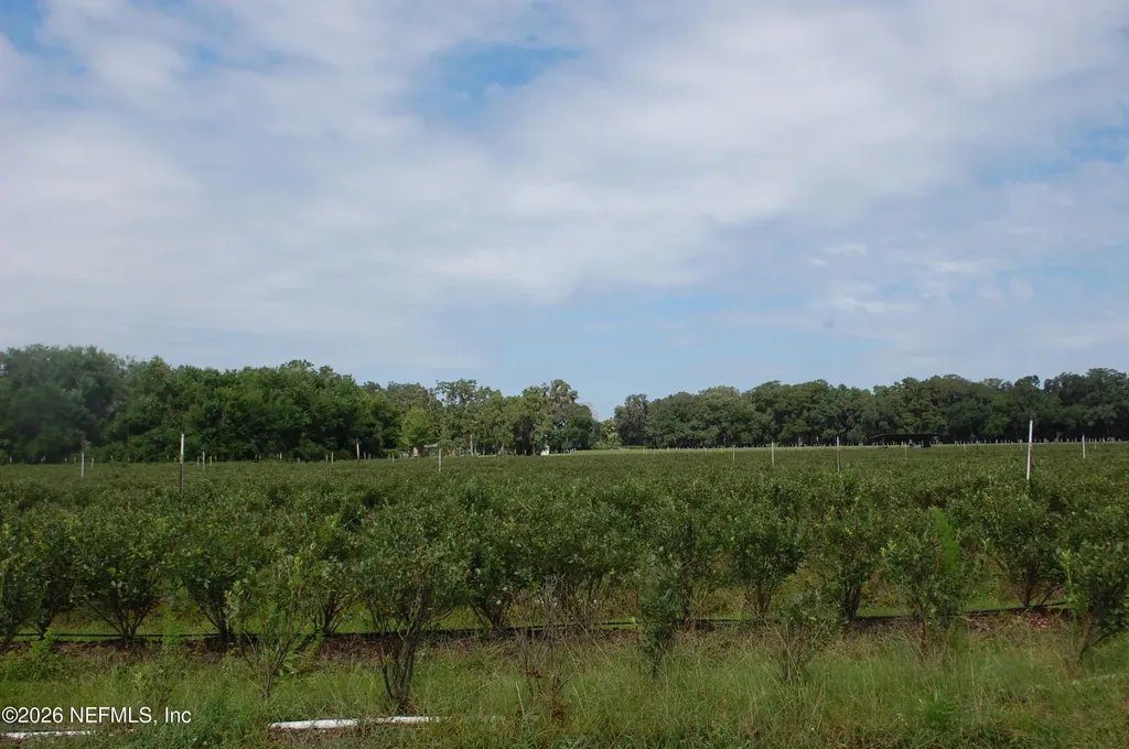 18811 SE 243rd Street Hawthorne FL 32640