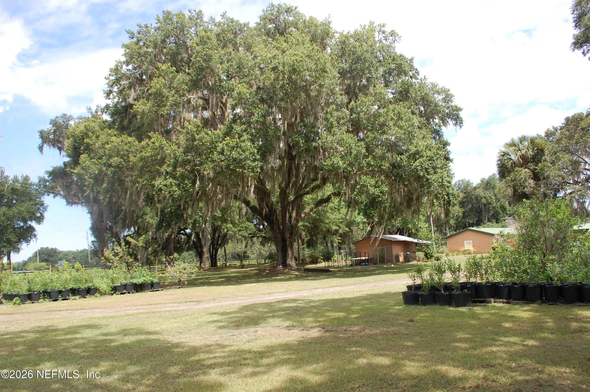 18811 SE 243rd Street Hawthorne FL 32640
