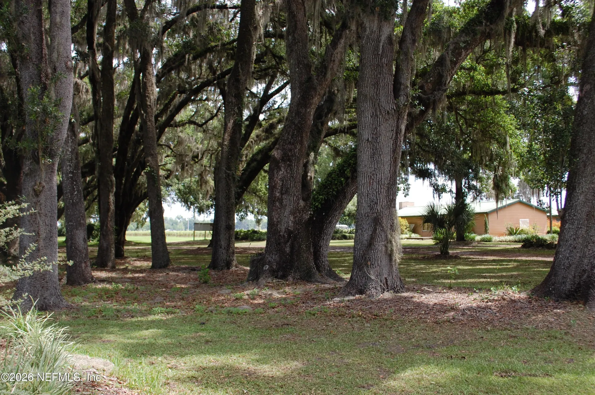 18811 SE 243rd Street Hawthorne FL 32640