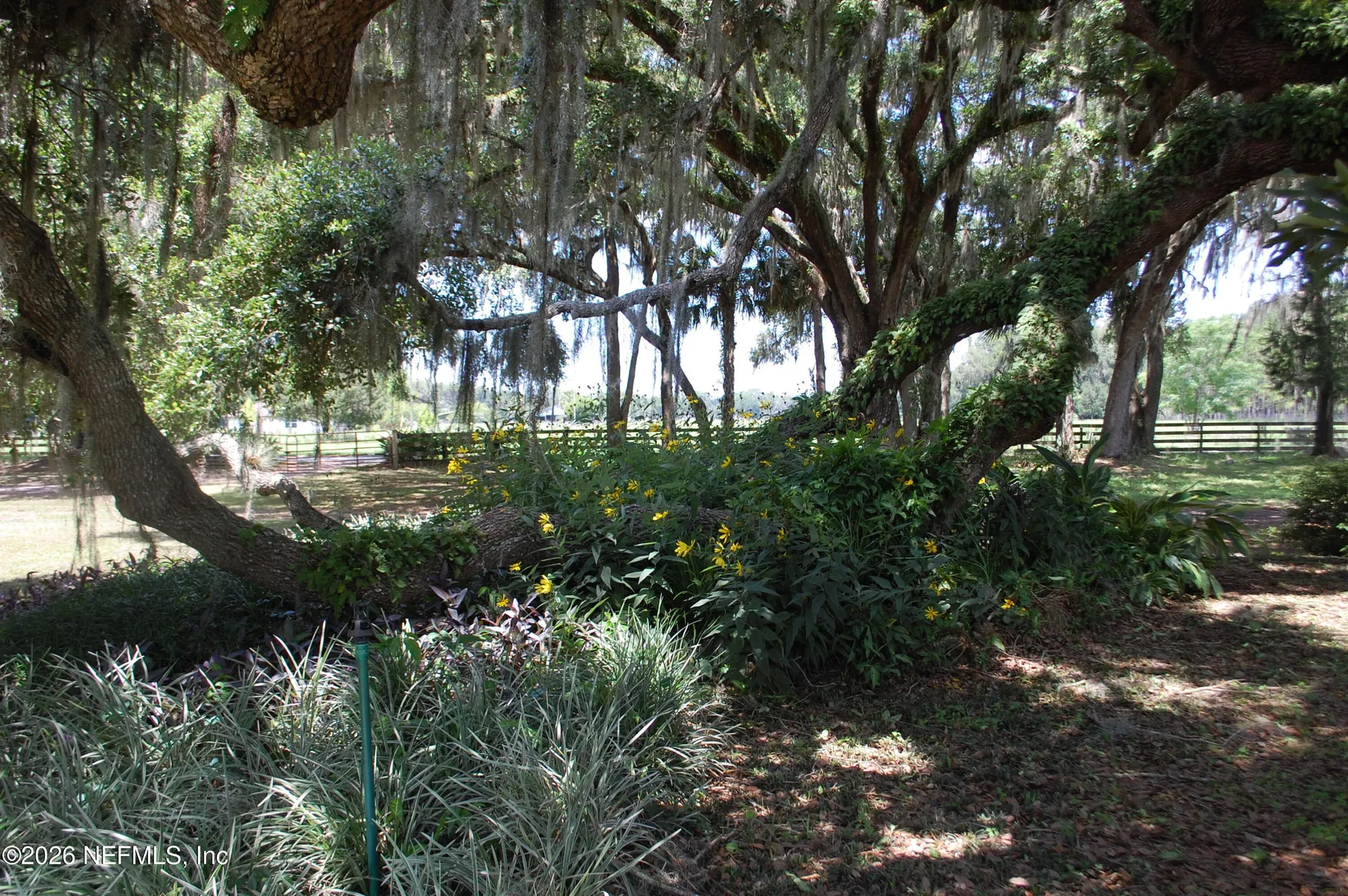 18811 SE 243rd Street Hawthorne FL 32640