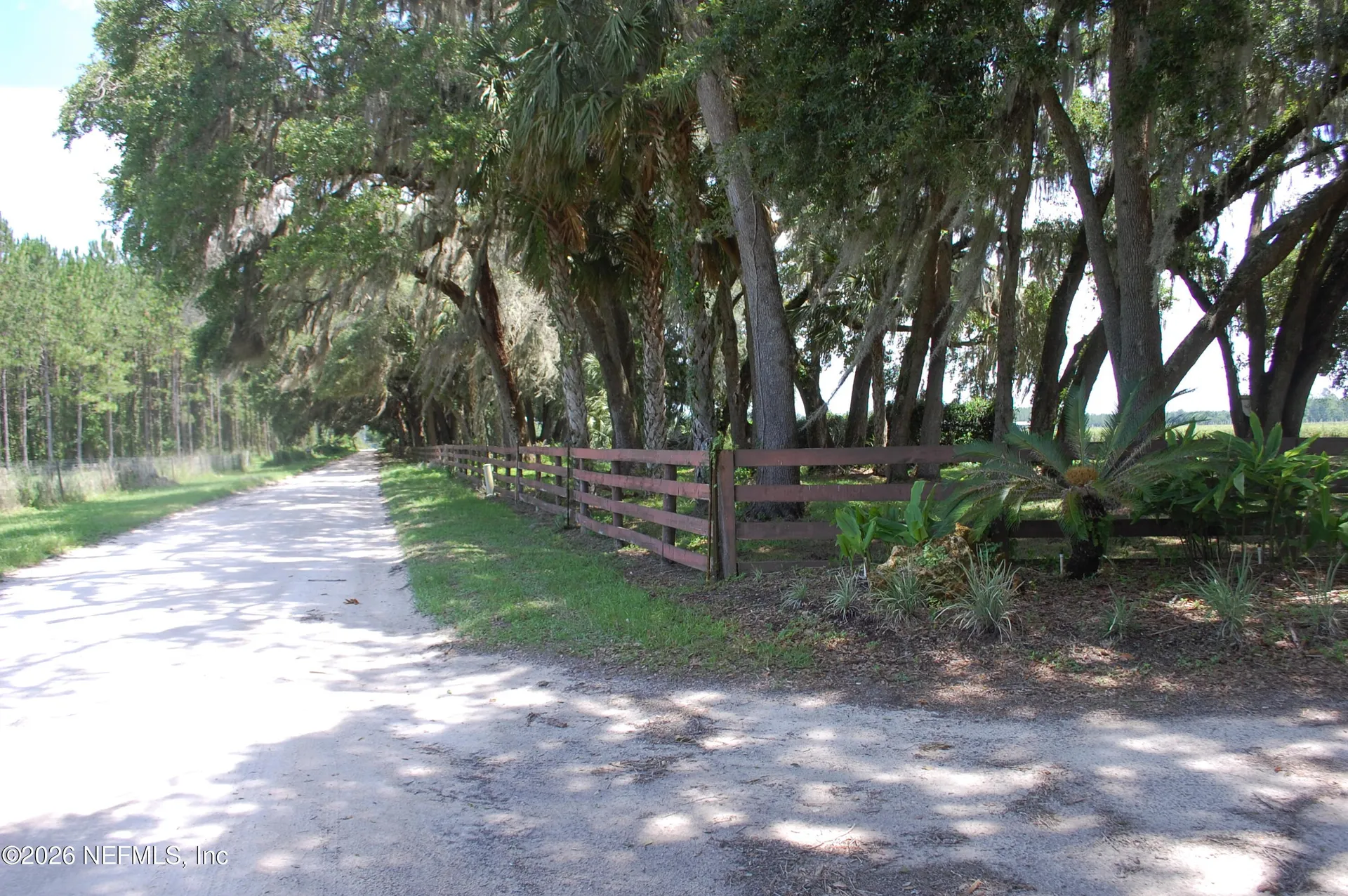 18811 SE 243rd Street Hawthorne FL 32640