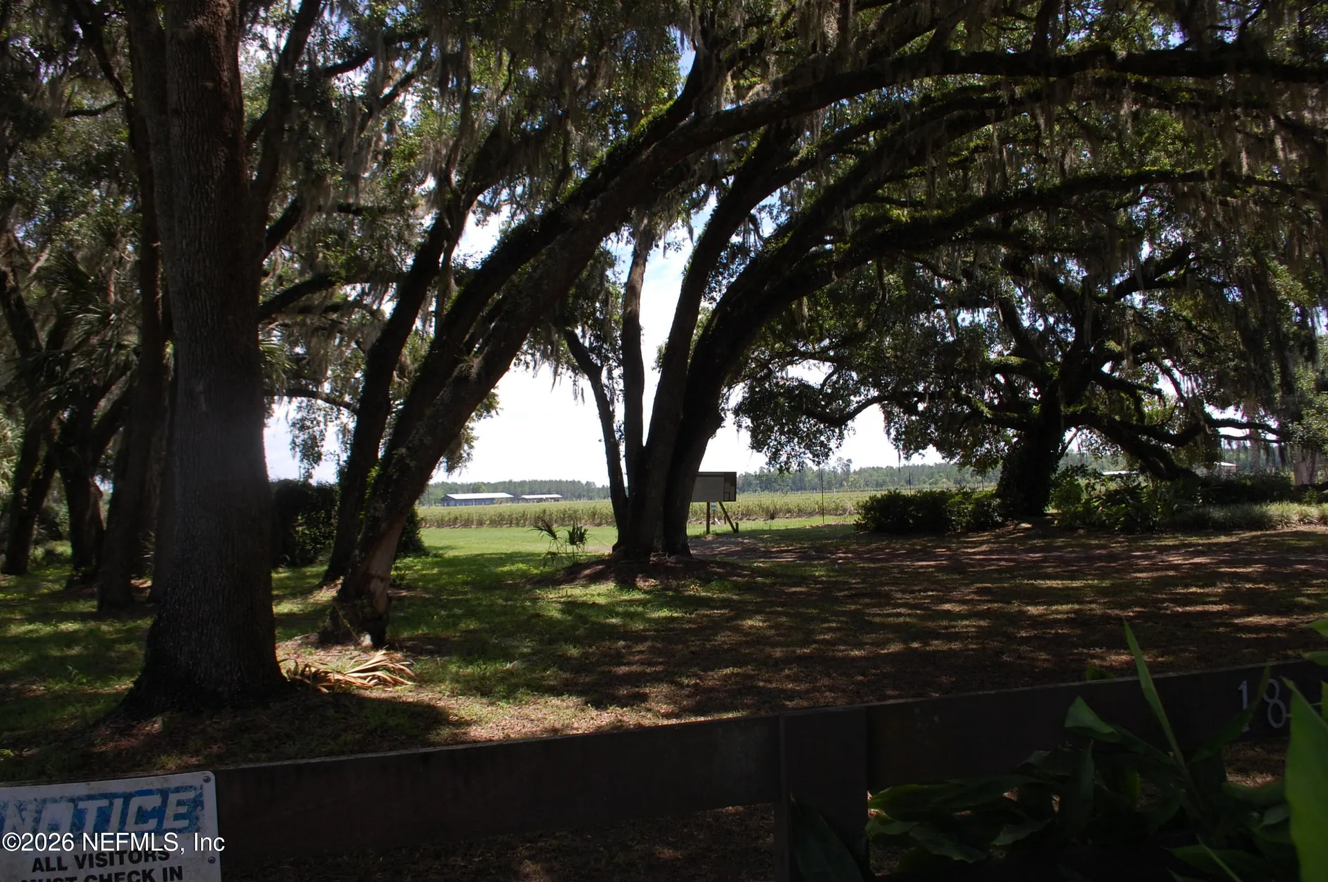 18811 SE 243rd Street Hawthorne FL 32640
