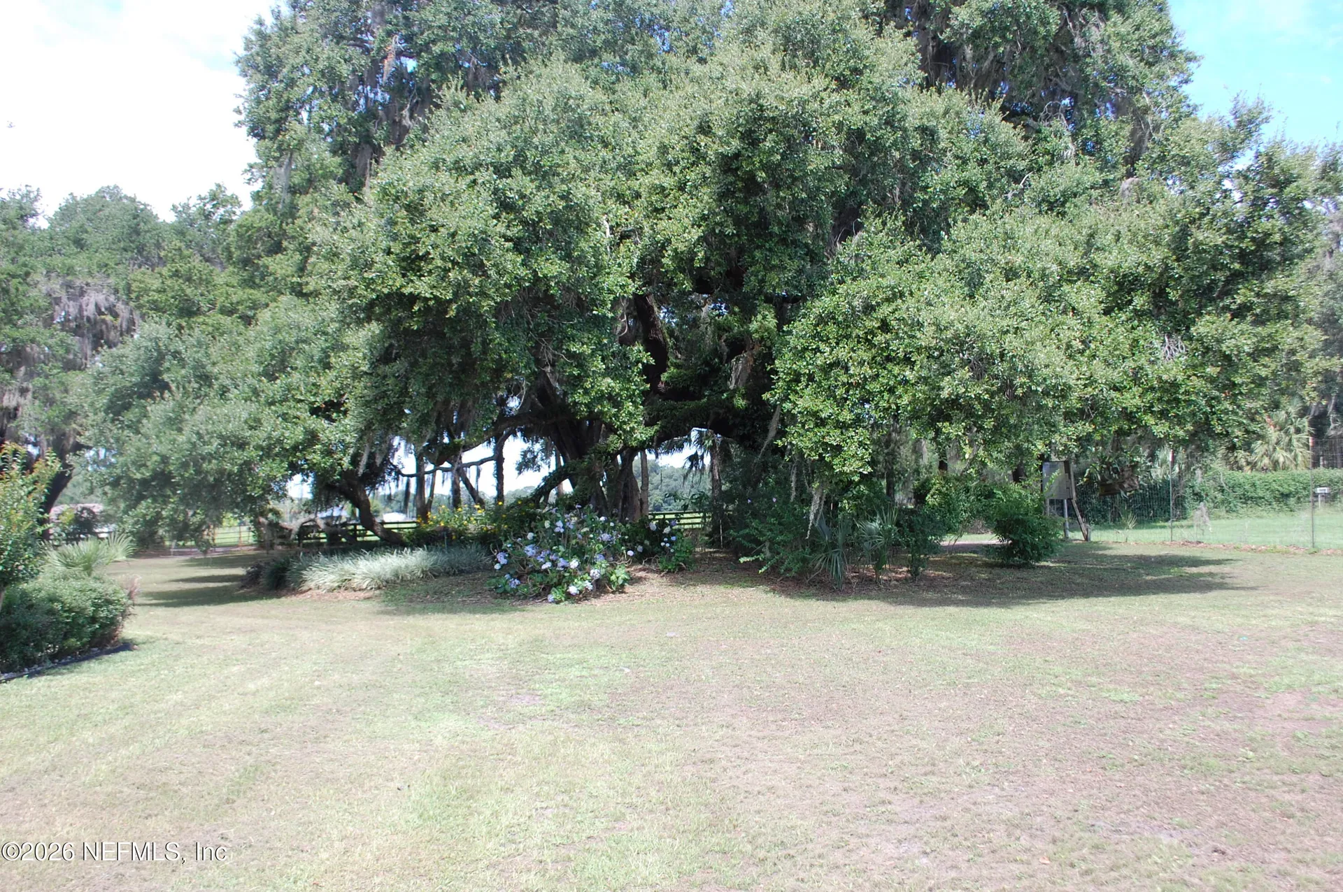18811 SE 243rd Street Hawthorne FL 32640