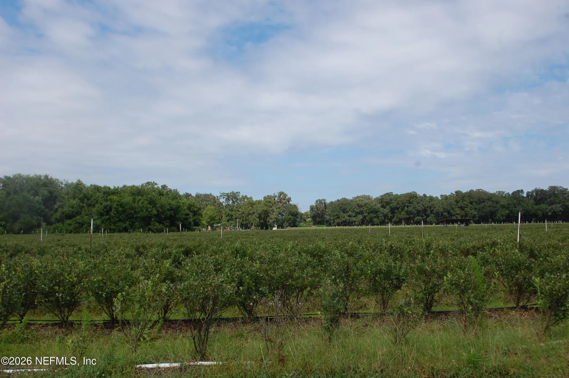 18811 SE 243rd Street Hawthorne FL 32640