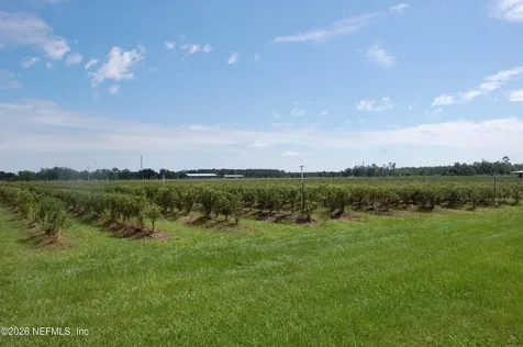 18811 SE 243rd Street Hawthorne FL 32640