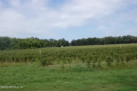 18811 SE 243rd Street Hawthorne FL 32640