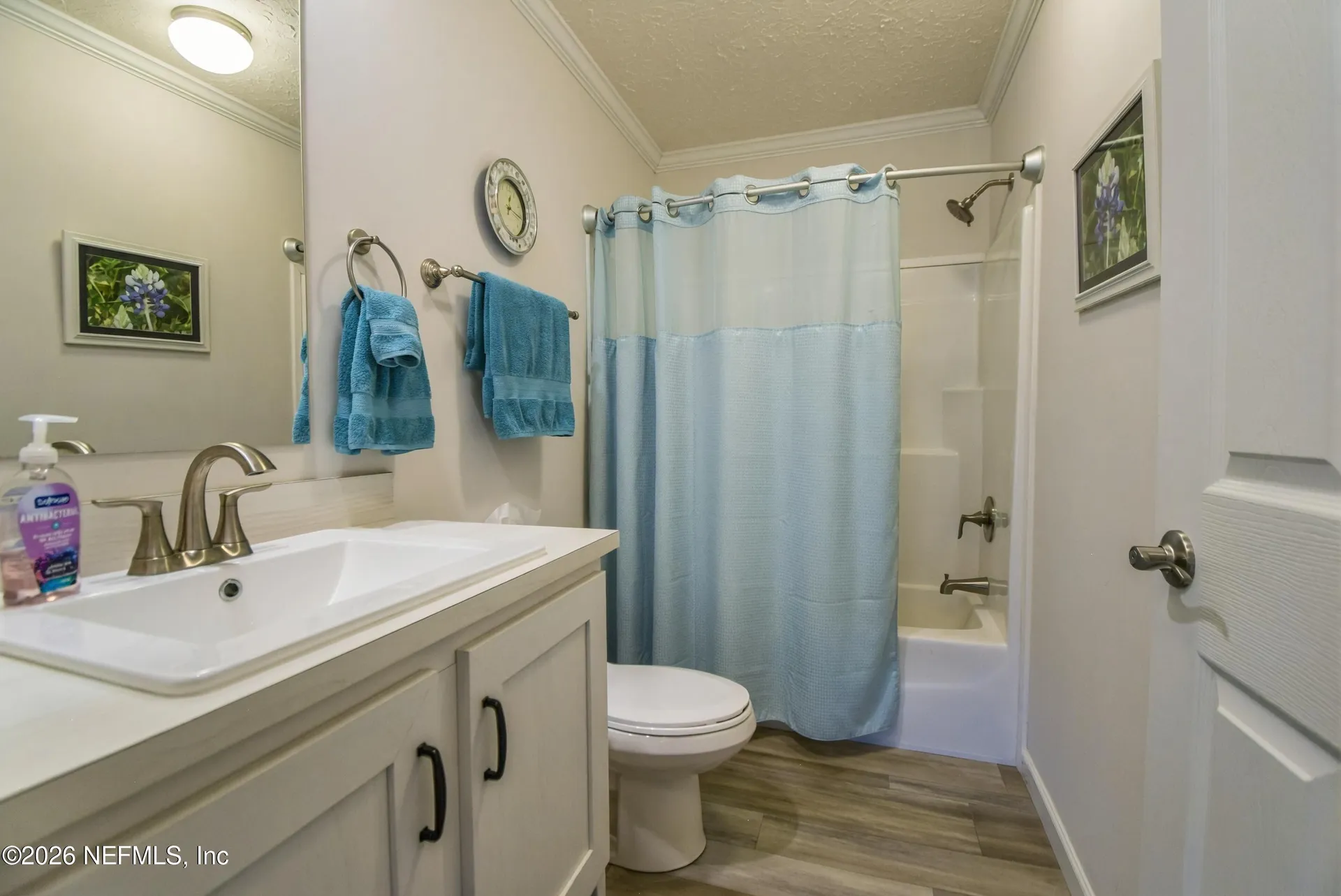 204 Lake View Drive Satsuma FL 32189
