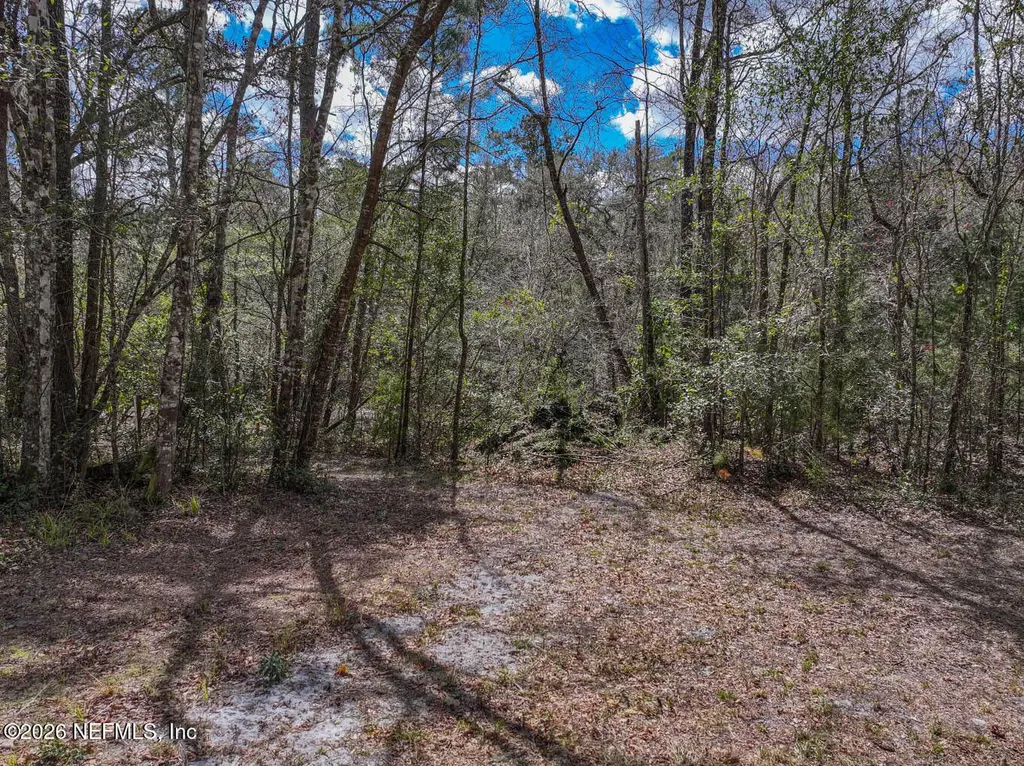 3125 Black Creek Drive Middleburg FL 32068