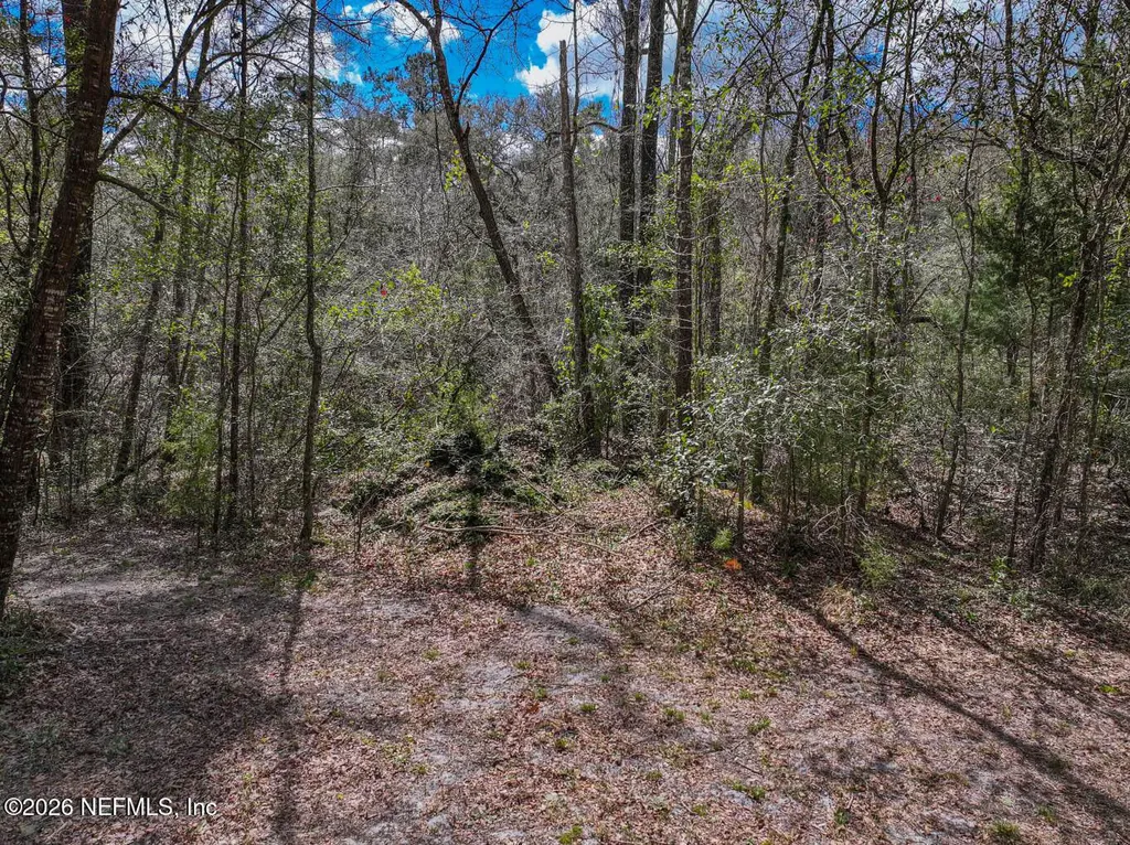 3125 Black Creek Drive Middleburg FL 32068