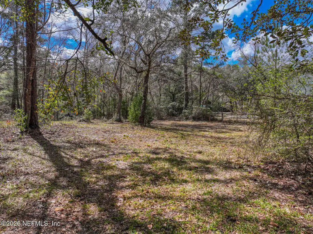 3125 Black Creek Drive Middleburg FL 32068