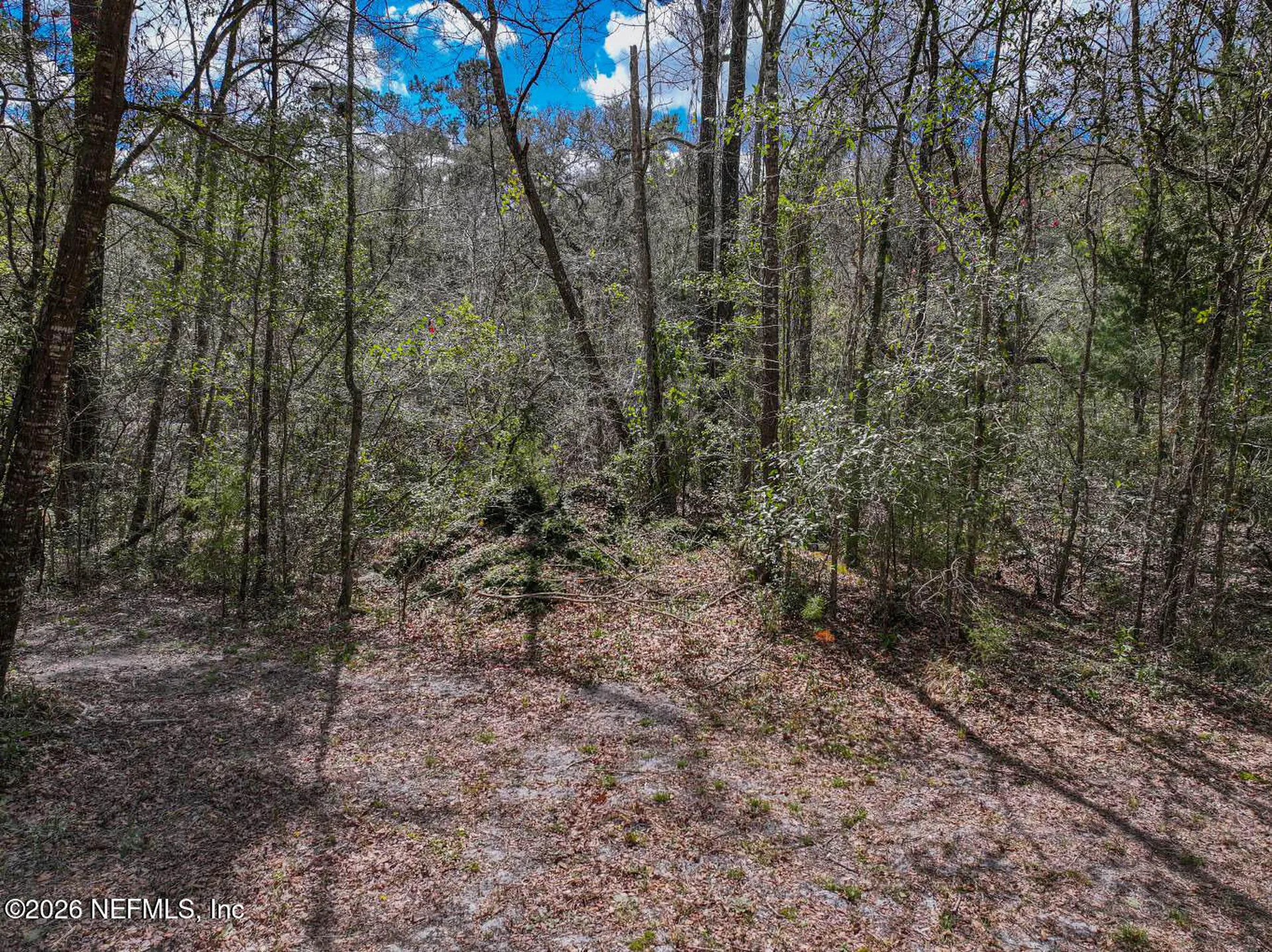 3125 Black Creek Drive Middleburg FL 32068