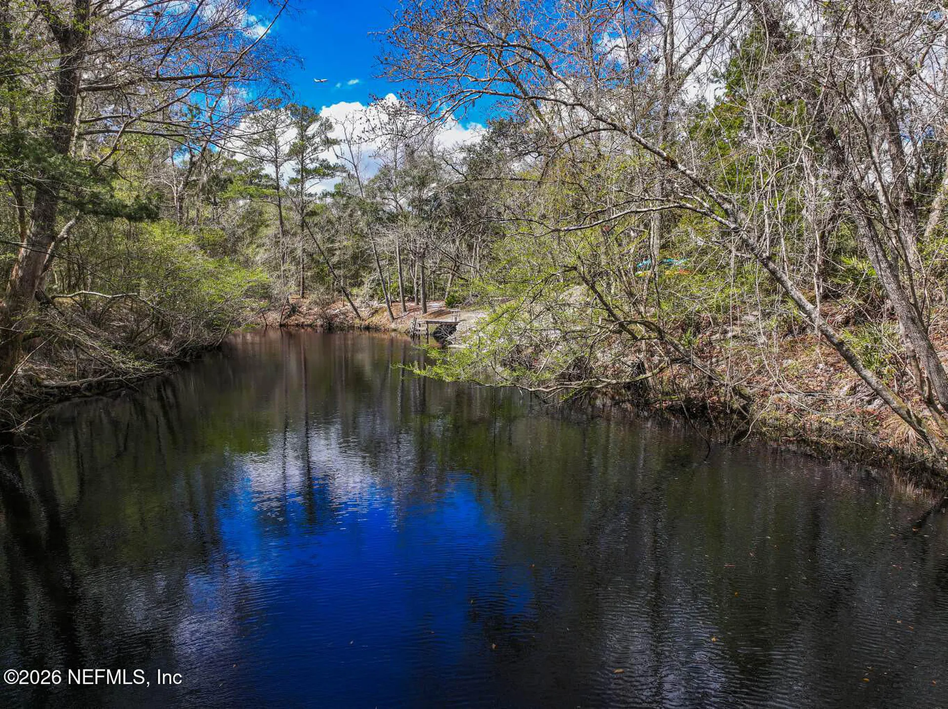 3125 Black Creek Drive Middleburg FL 32068