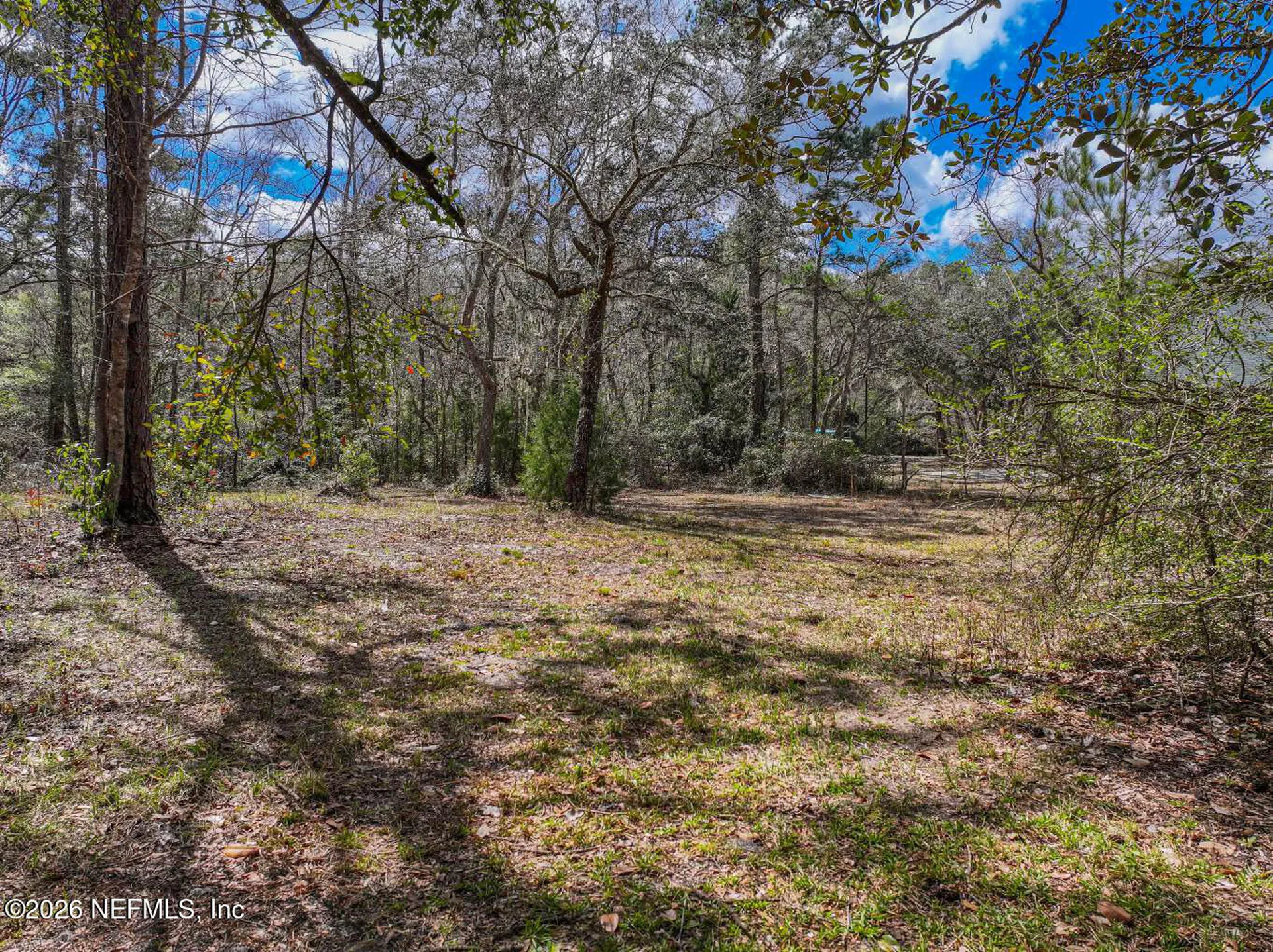 3125 Black Creek Drive Middleburg FL 32068