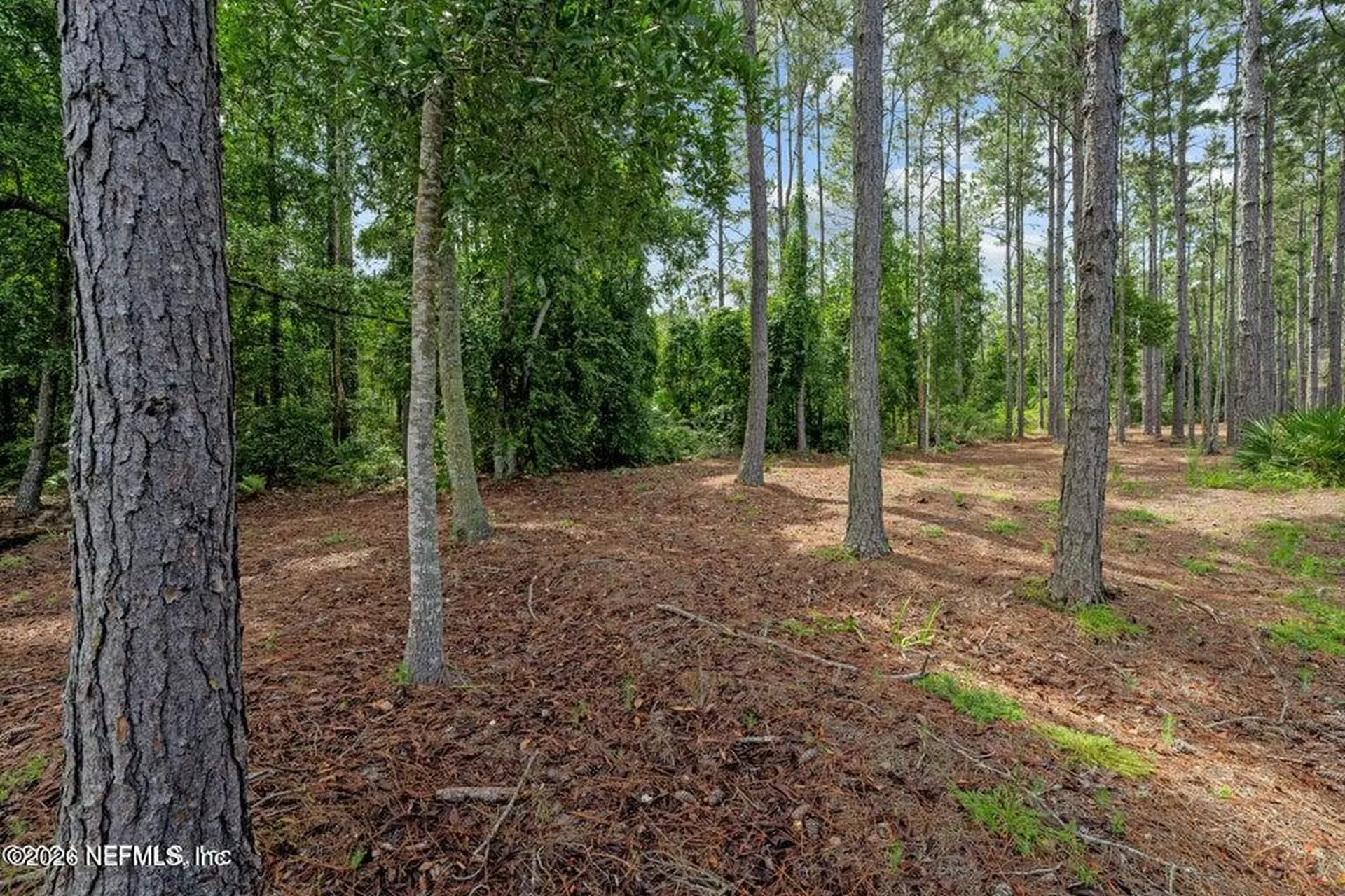 429 Wingstone Drive Jacksonville FL 32081