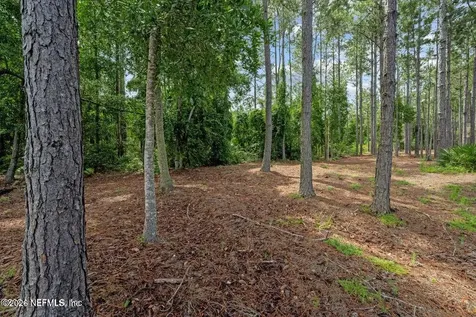 429 Wingstone Drive Jacksonville FL 32081