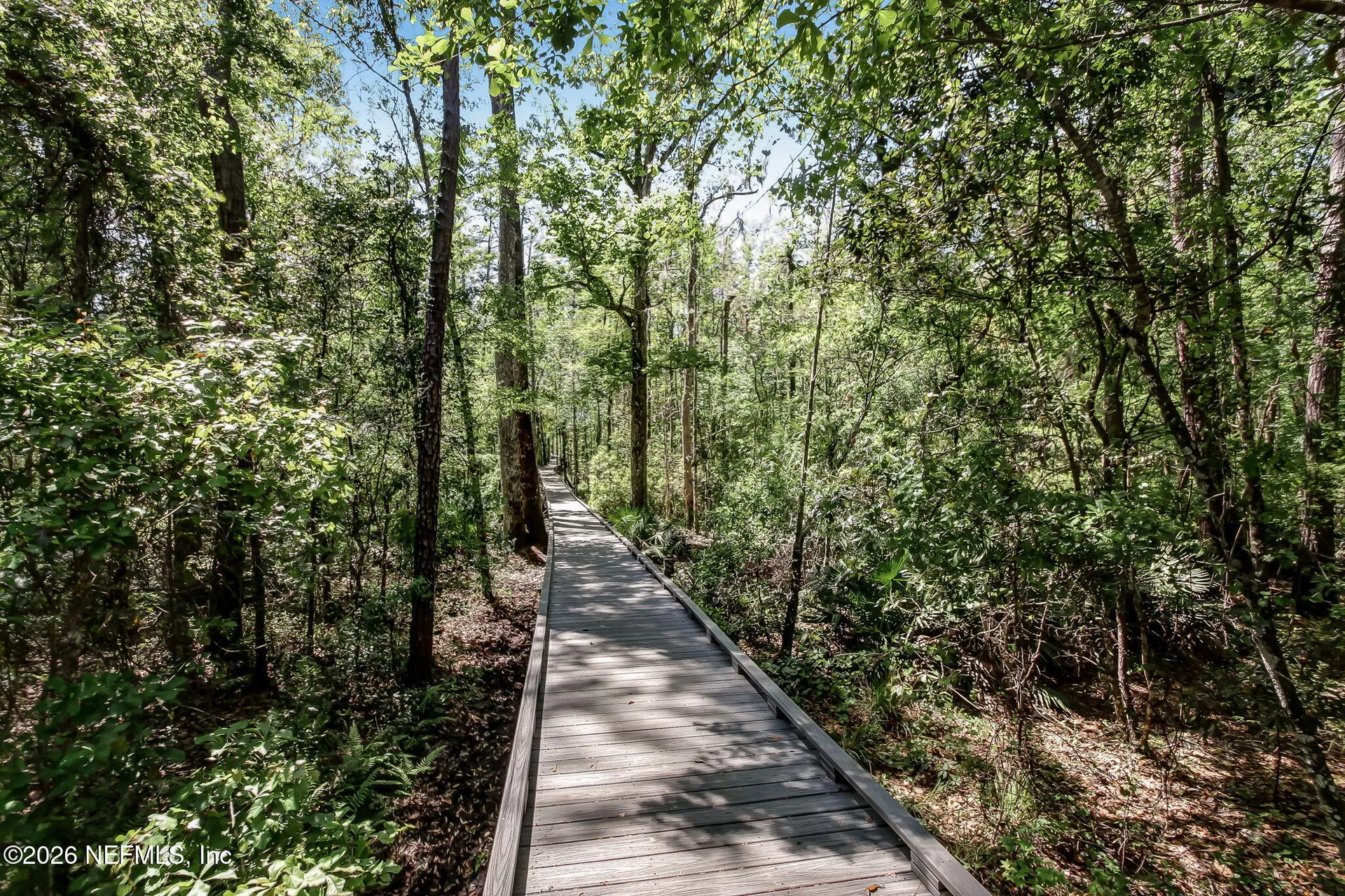 2115 Autumn Cove Circle Fleming Island FL 32003