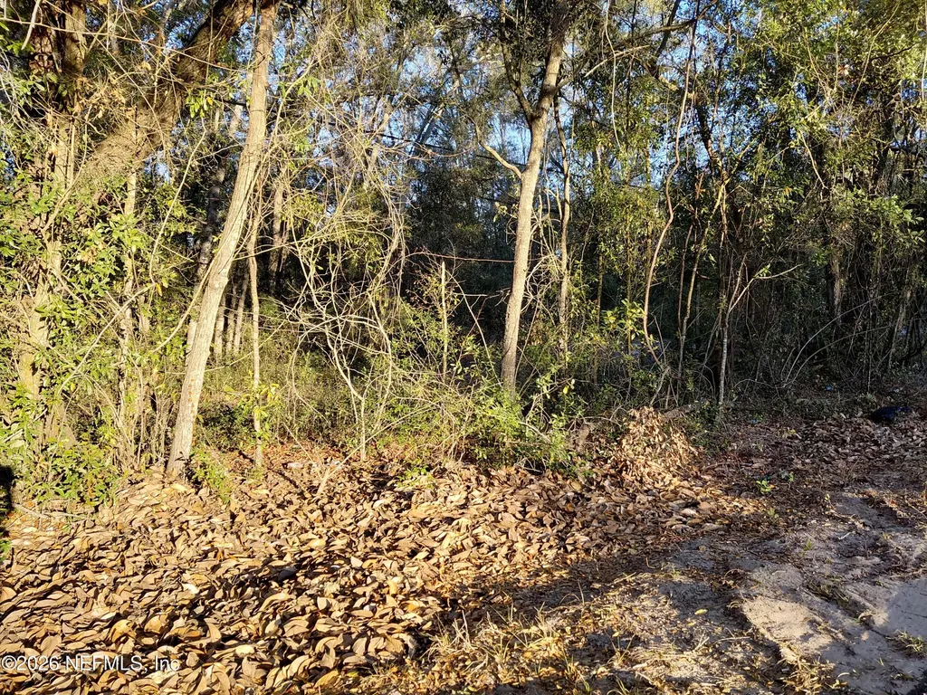160 Putnam Loop Road Melrose FL 32666
