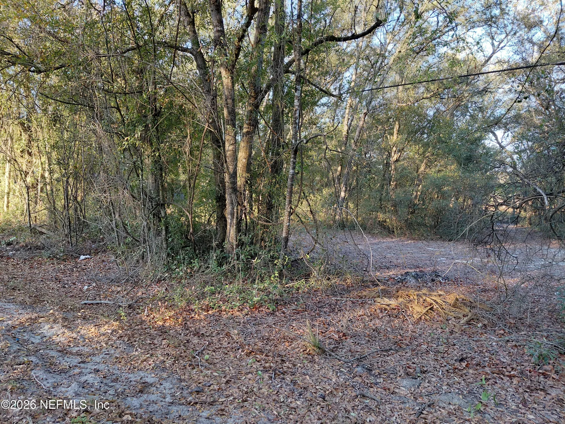 160 Putnam Loop Road Melrose FL 32666