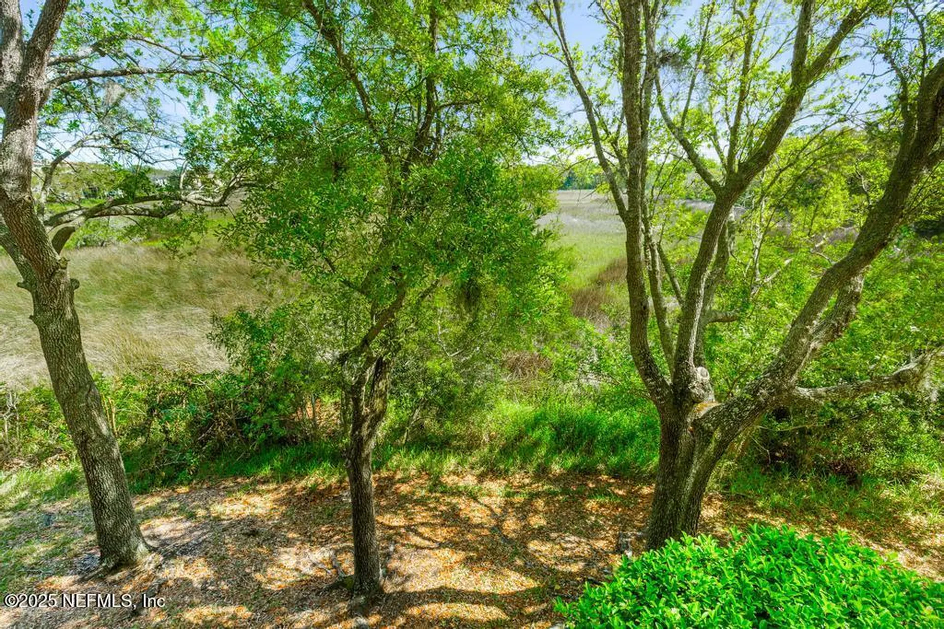 1010 Bellavista Boulevard St. Augustine FL 32084